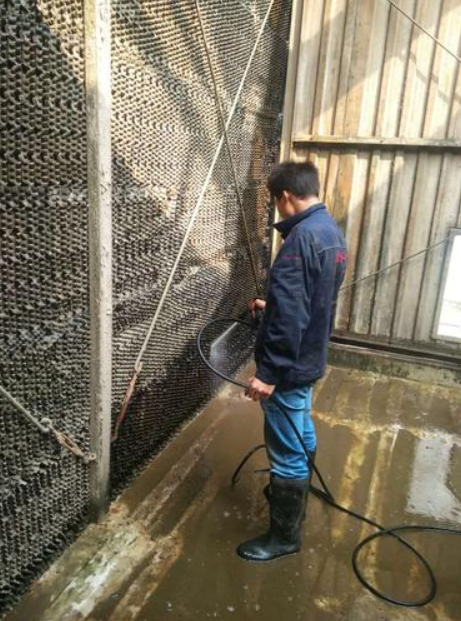 <strong>終結(jié)藻類困擾：系統(tǒng)闡</strong>